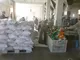 Iraq 3500g  deteregent powder supplier